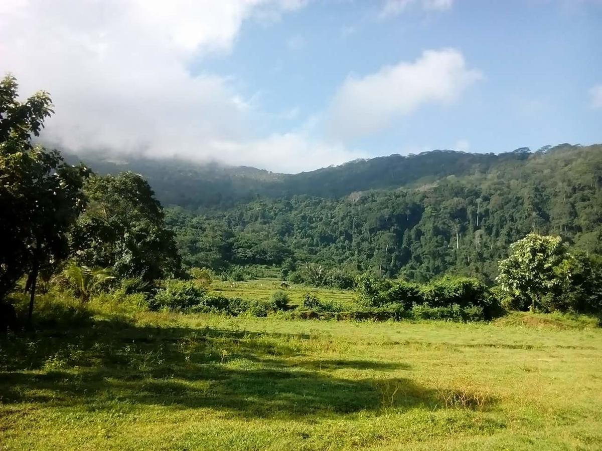 Thilina Homestay Sigirîya Extérieur photo